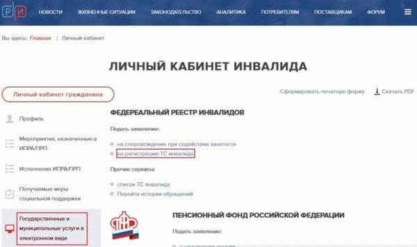 Федеральный реестр инвалидов ФГИС ФРИ РФ